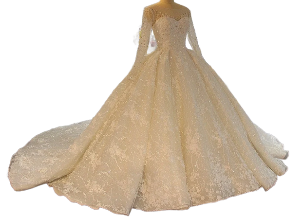 Elegant Lace Ballgown Wedding Dress with Cathedral Train Long Sleeve