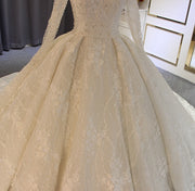 Elegant Lace Ballgown Wedding Dress with Cathedral Train Long Sleeve