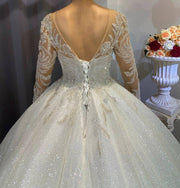 Affordable Classic Long Sleeve Tulle Ballgown Bridal Dress with Intricate Lace Appliqués