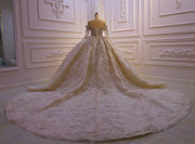 Fairytale Wedding Ballgown Off the Shoulder Glitter and Lace Wedding Dress